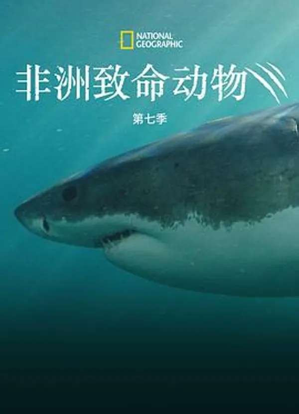 非洲致命动物 第七季