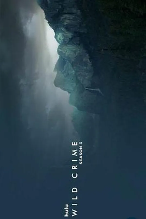 狂野罪行 第三季