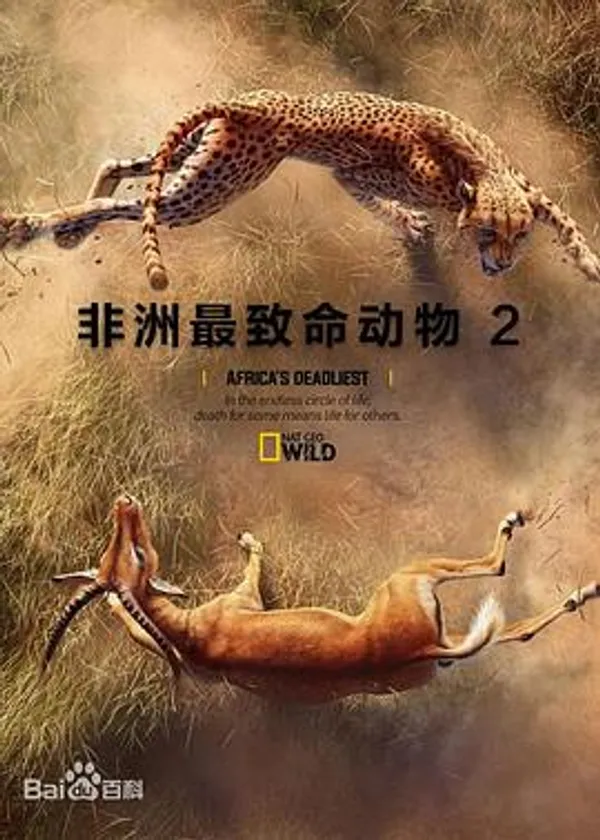 非洲致命动物 第二季