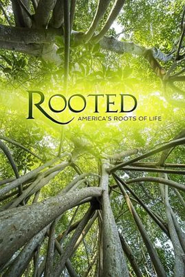 生命之树 第二季