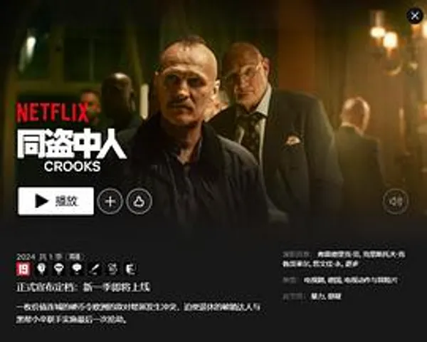 同盗中人 第二季 第二季